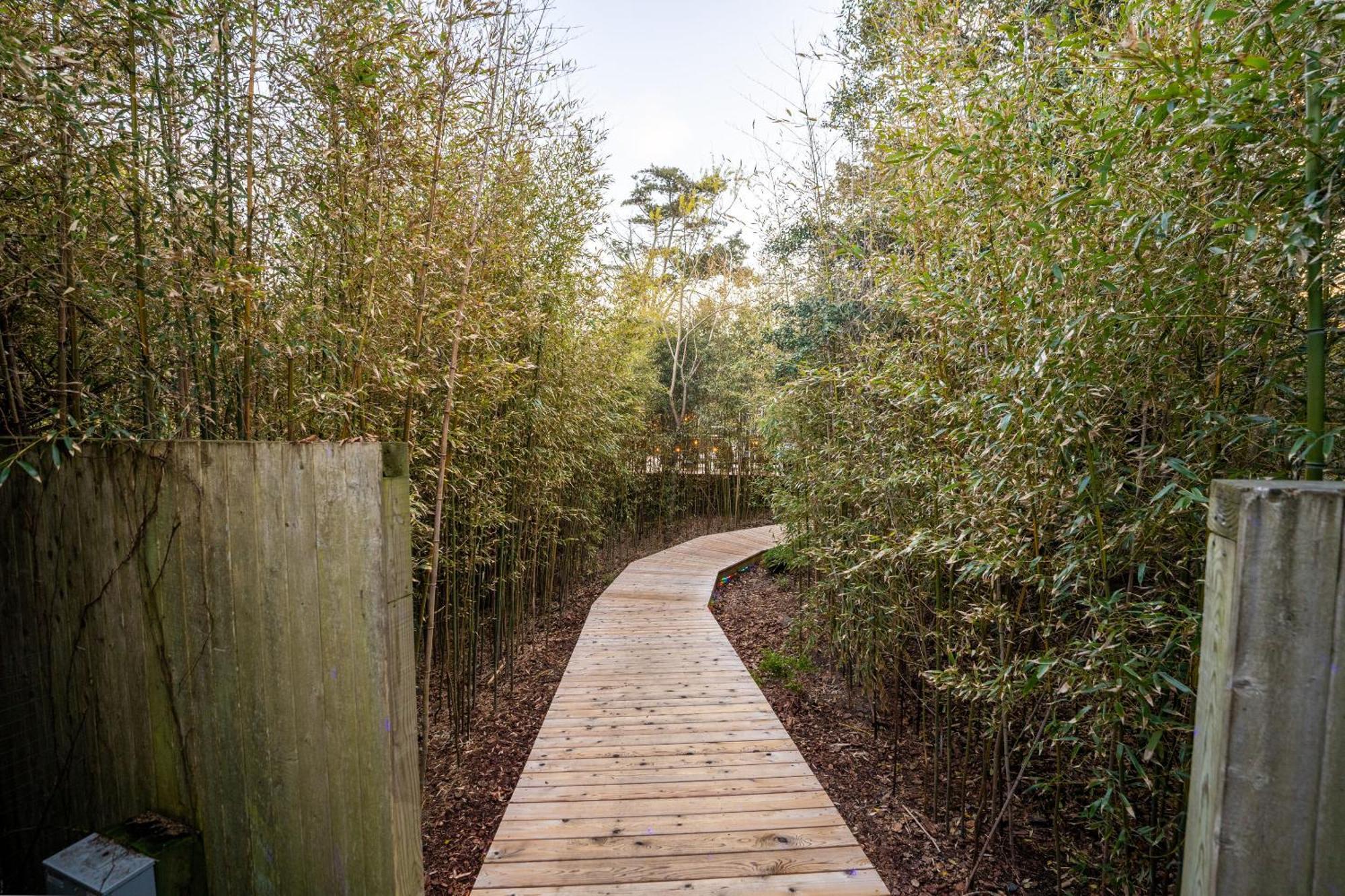 The Madison Fire Island Pines Hotel Buitenkant foto